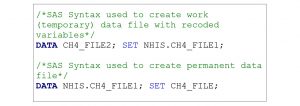 SAS programming statements to create work and permanent analytic datasets