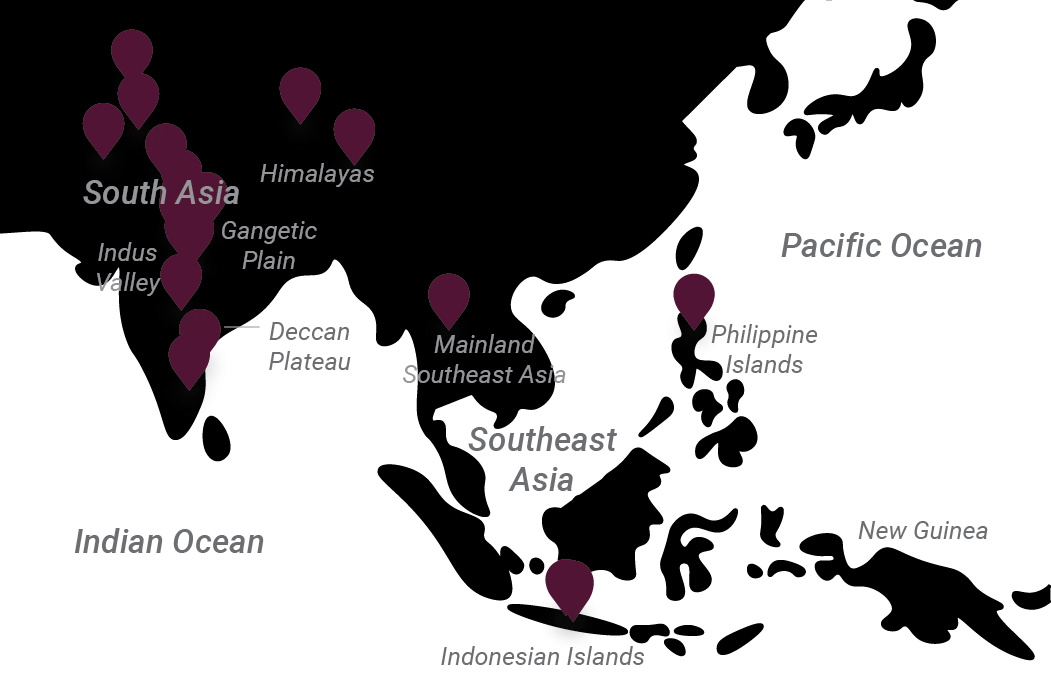 Image of Map of locations of all South and Southeast Asian artworks discussed in “Where Does Art Come From?” by Marizela Garza.