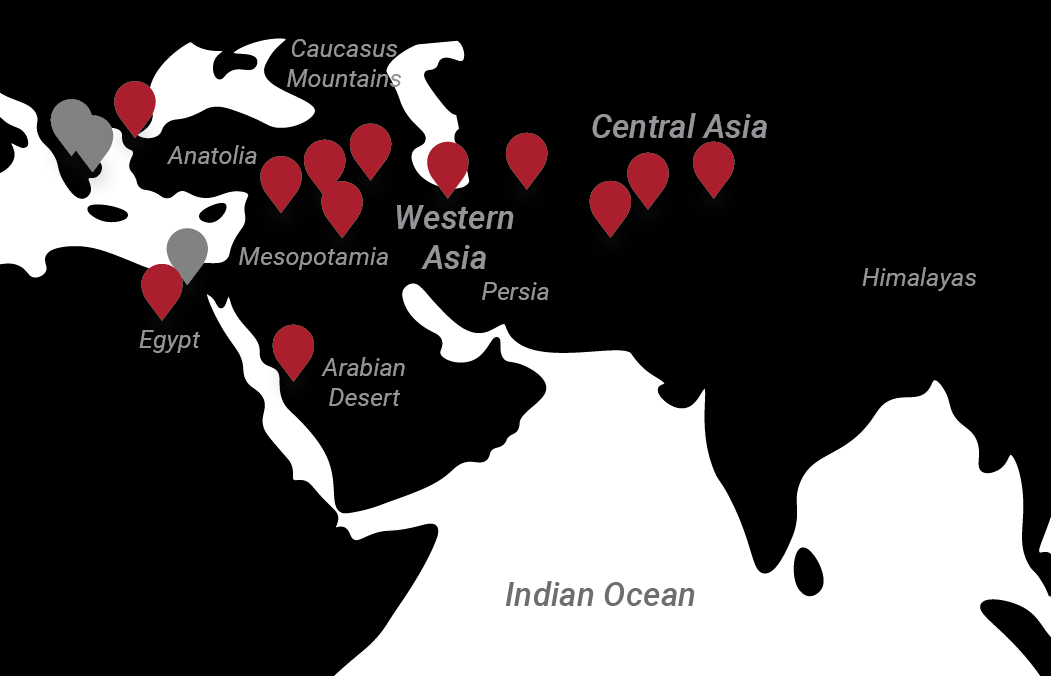 Image of Map of locations of all Western and Central Asian artworks discussed in “Where Does Art Come From?” by Marizela Garza.