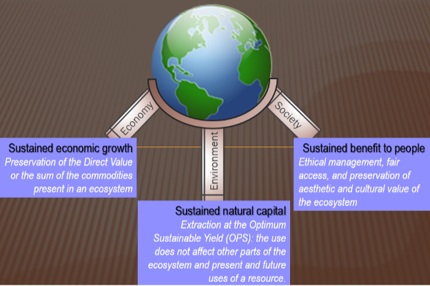 see accessEarth floats at the top of the diagram. Three words project from its underside: Economy, Environment, and Society. The word Economy connects to the following description: Sustained economic growth: Preservation of the Direct Value or the sum of the commodities present in an ecosystem. The word Environment connects to the following description: Extraction at the Optimum Sustainable Yield (OPS): the use does not affect other parts of the ecosystem and present and future uses of a resource. The word Society connects to the following description: Sustained benefit to people: Ethical management, fair access, and preservation of aesthetic and cultural value of the ecosystem.Figure Credit: Neyda Abreuible description