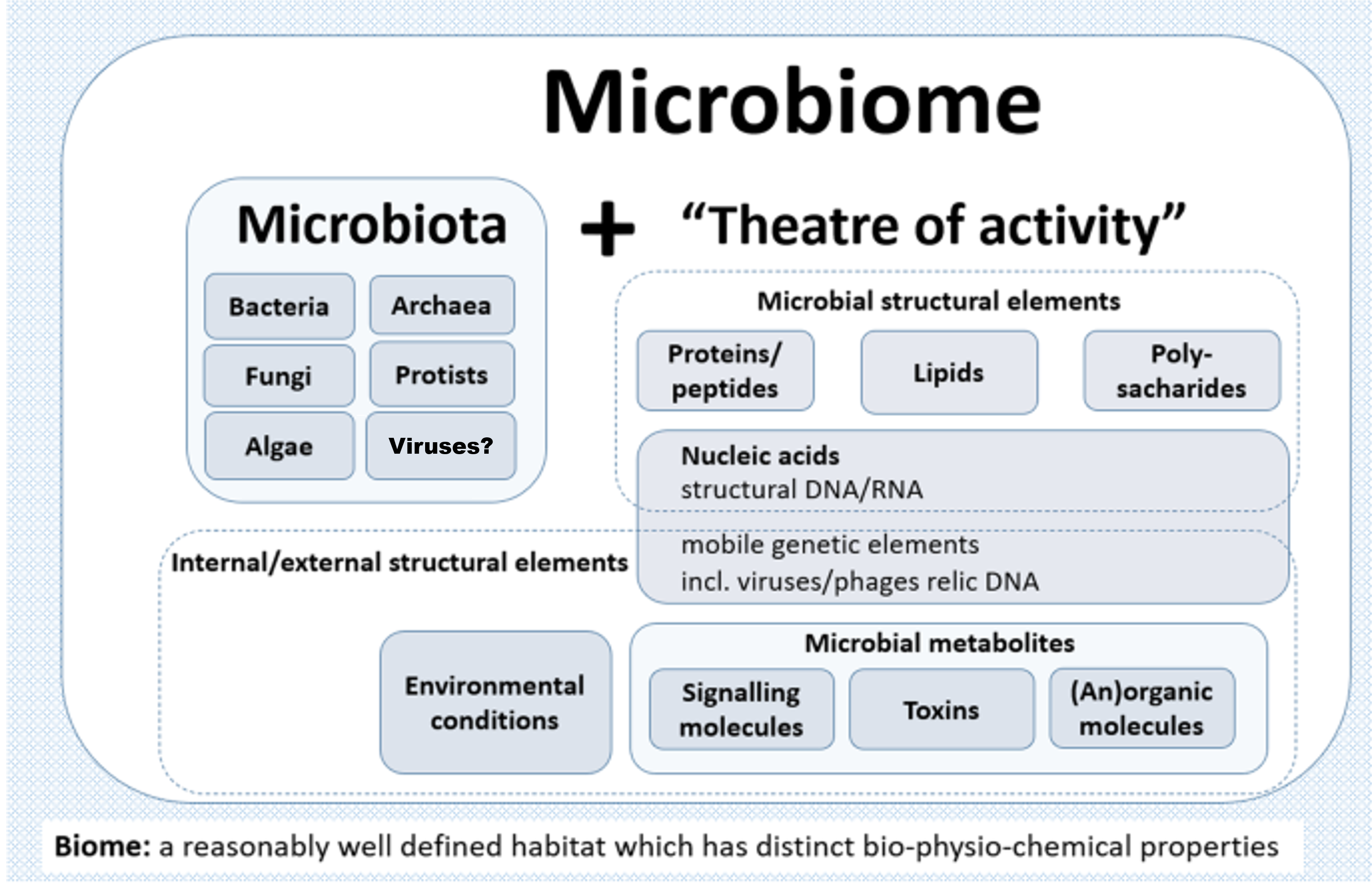 A schematic highlighting the composition of the term microbiome containing both the microbiota (community of microorganisms) and their “theatre of activity” (structural elements, metabolites/signal molecules, and the surrounding environmental conditions)