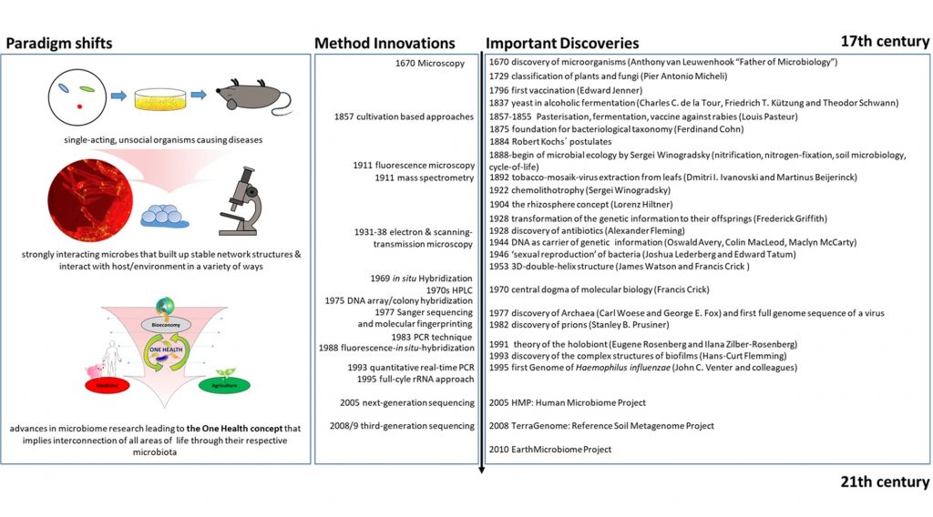 An Introduction To Microbiomes – Microbiomes: Health And The Environment