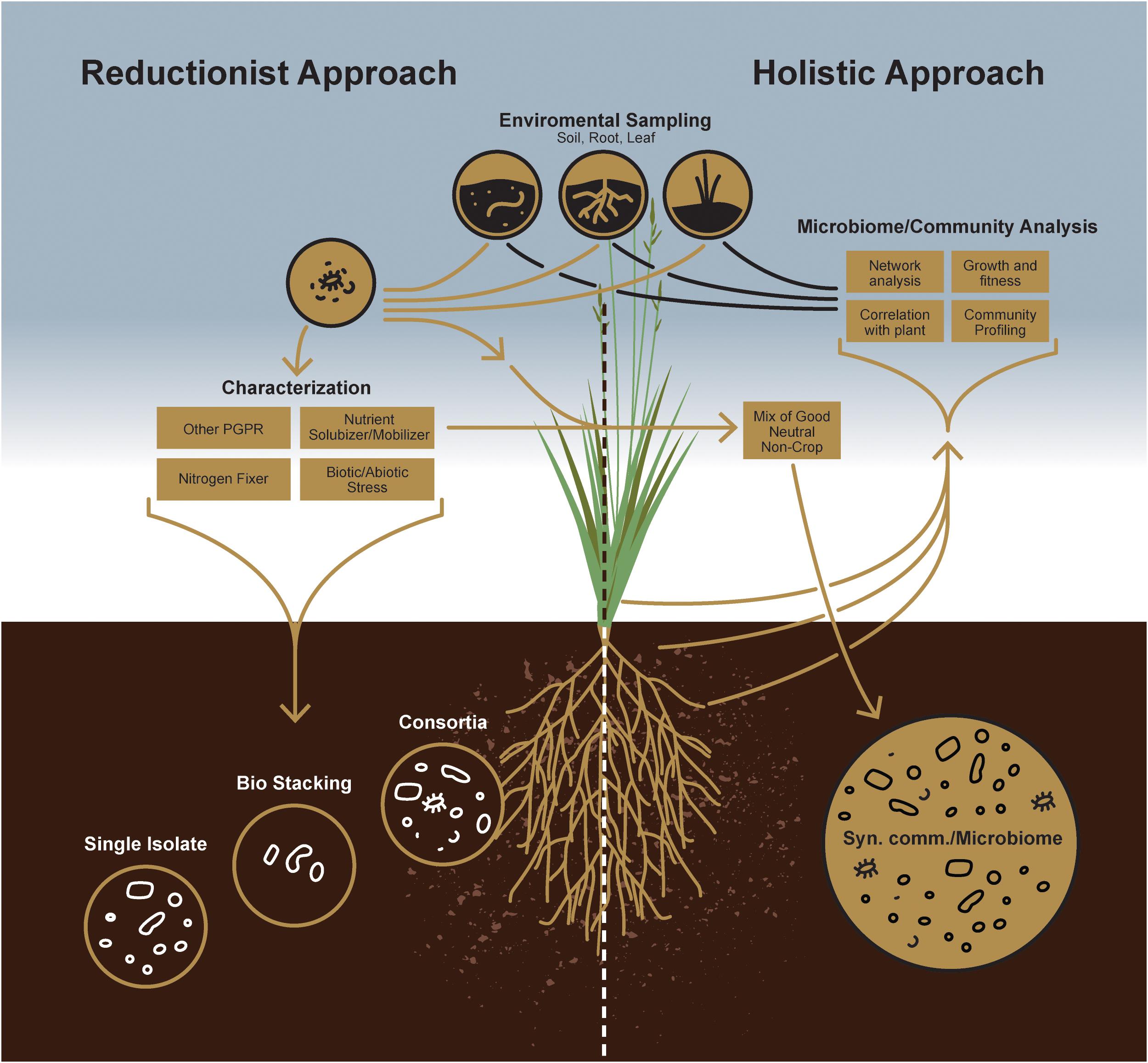 soil-microbiomes-microbiomes-health-and-the-environment