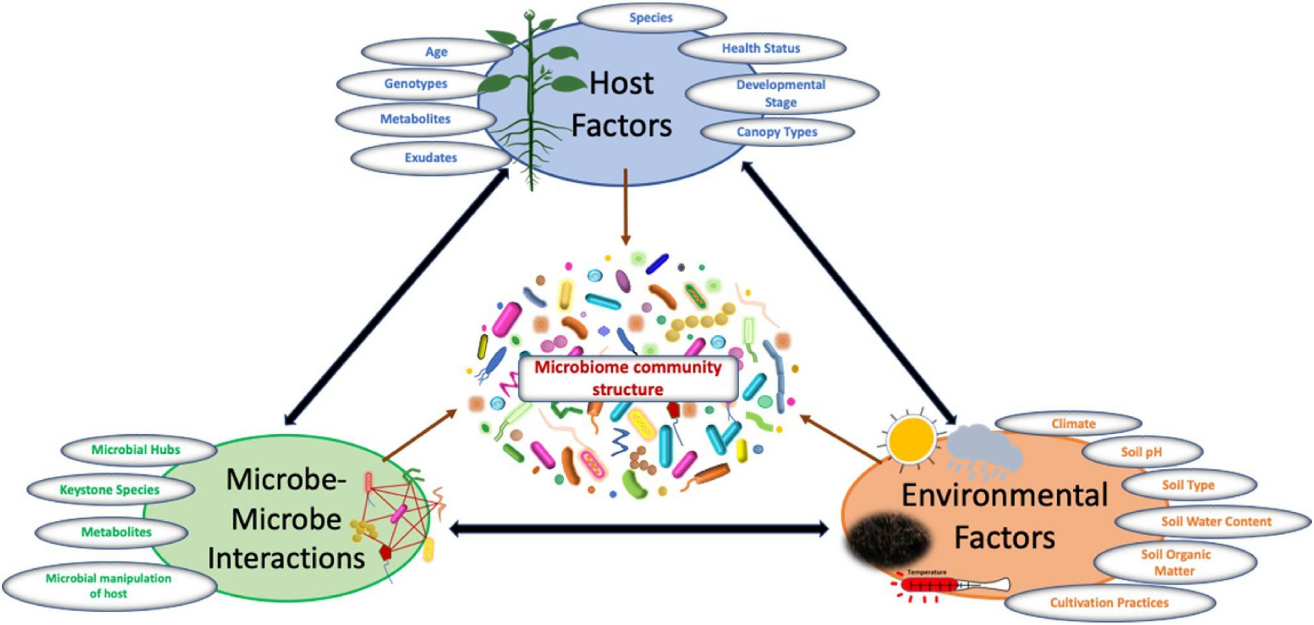 Plant Microbiomes Microbiomes Health and the Environment