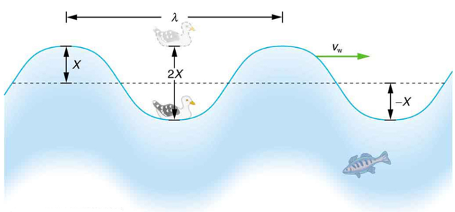 Idealized ocean wave and the various components of a wave