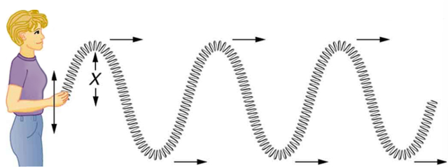 Woman holding a slinky making a transverse wave