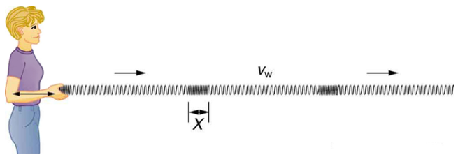 Woman holding a slinky making a longitudinal wave