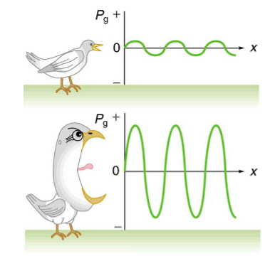 Two cartoon images of a bird and the graph of their sound production. One has a more intensive sound production than the other.