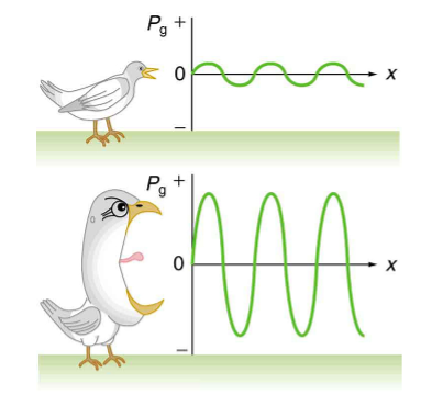 Two cartoon images of a bird and the graph of their sound production. One has a more intensive sound production than the other. 