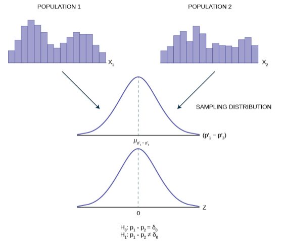 Two population bar graphs forming into a single sampling distribution