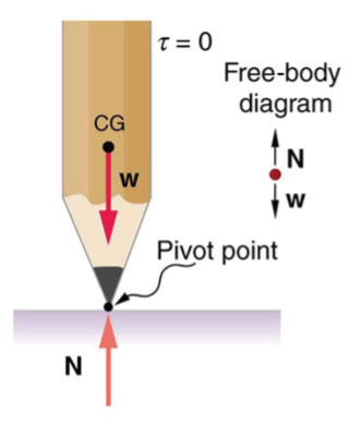 Cartoon image of a pencil tip down with a freebody diagram. The normal force points North and the weight points South. 