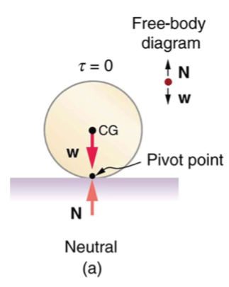 Figure of a ball at neutral position with a free-body diagram with the normal force pointing North and weight pointing South. 