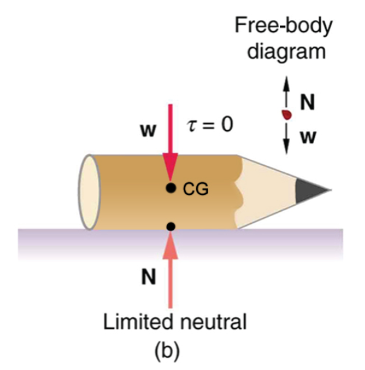 Cartoon image of a pencil on its side with a freebody diagram. The normal force points North and the weight points South. 