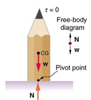 Cartoon image of a pencil with a freebody diagram. The normal force points North and the weight points South. 