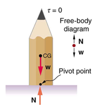 Cartoon image of a pencil with a freebody diagram. The normal force points North and the weight points South.