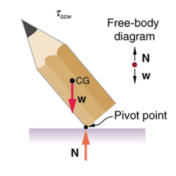 Cartoon image of a pencil tilting to the left. The normal force points North and the weight points South. 