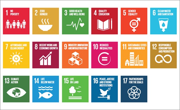 This picture graphically shows the 17 United Nation sustainable goals that described earlier.