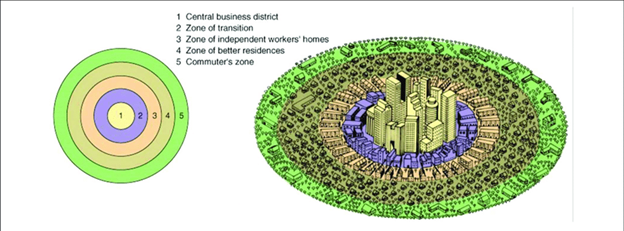 Concentric zones theory that shows rings of activities around downtown.