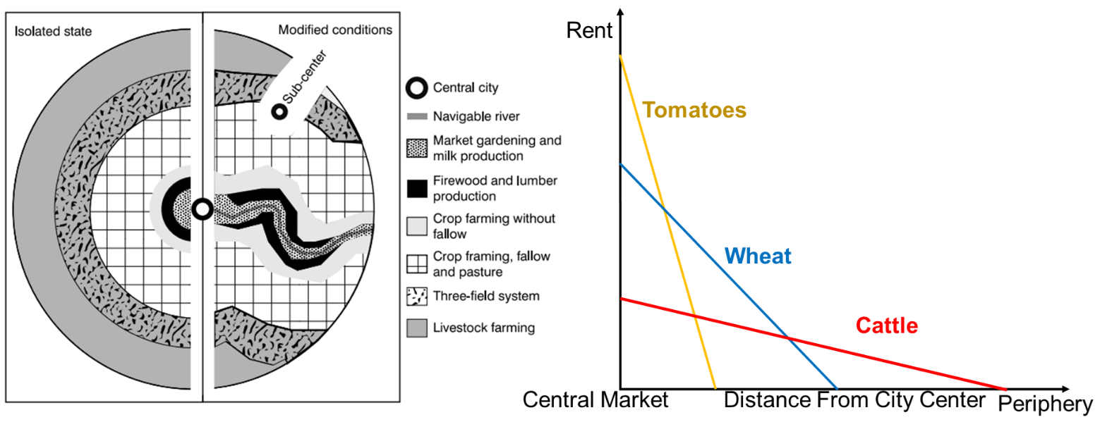 the graphical representation of the distance gradient of activities with varying distance to central business district which is related to transportation costs.