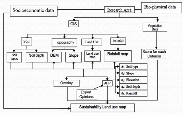 Structure of LSA including data collection, development of criteria, scoring, and mapping the results.