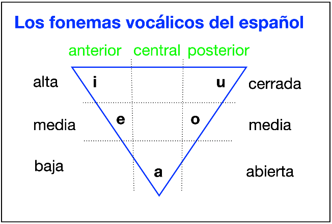Triágulo invertido que muestra las posiciones articulatorias de las vocales del español.