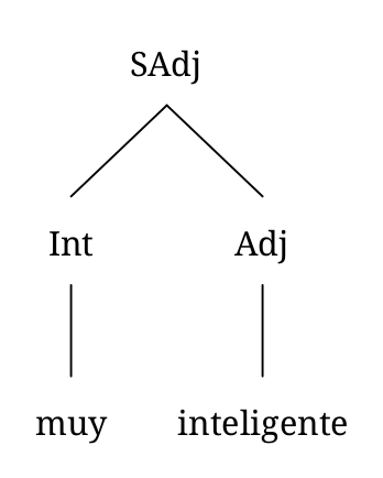 Diagrama arbóreo de un sintagma adjetival con un adjetivo modificado por un intensificador: “muy inteligente”. Consiste en un intensificador (muy) y un adjetivo (inteligente).