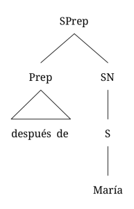 Dos diagramas arbóreos para sintagmas preposicionales que empiezan con preposiciones compuestas. El primero, “después de María”, consiste en una preposición compuesta (después de) y un sintagma nominal (María).