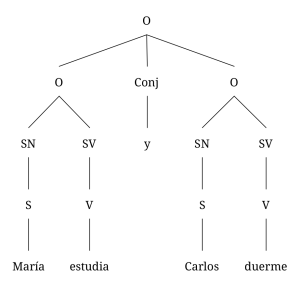 Dos diagramas arbóreos para dos oraciones unidas con una conjunción. El primer diagrama representa la oración “María estudia y Carlos duerme”. La oración consiste en dos oraciones: “María estudia” y “Carlos duerme, unidas por una conjunción (y).