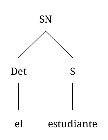Cuatro ejemplos de sintagmas nominales con determinantes y cuantificadores. El primero, “el estudiante”, consiste en un determinate (el) y un sustantivo (estudiante).