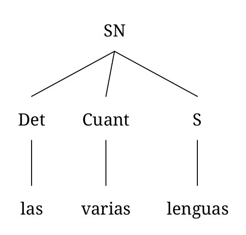 El tercero, “las varias lenguas” consiste en un determinate (las), un cuantificador (varias) y un sustantivo (lenguas).