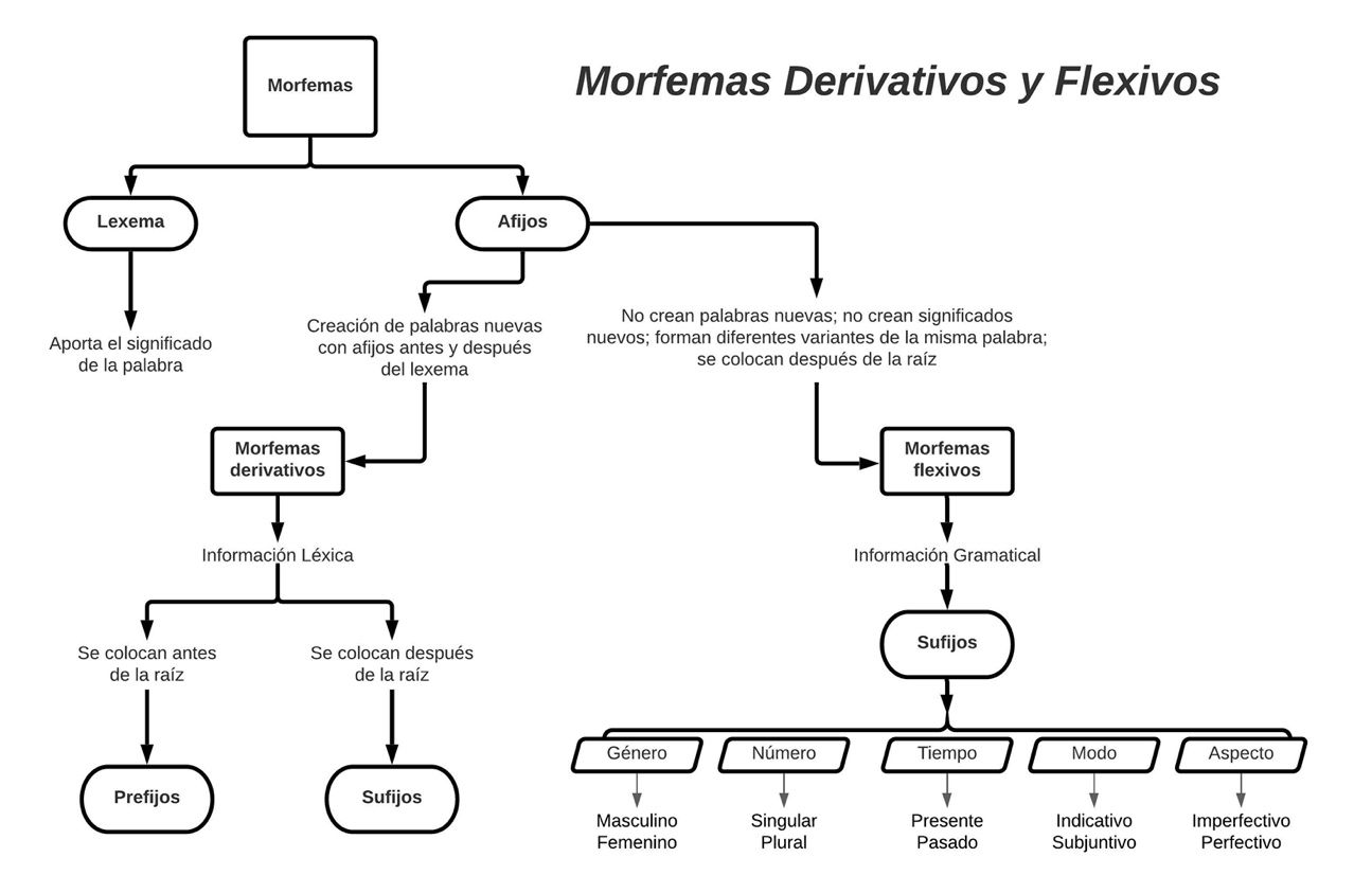 Un resumen de las diferencias entre los morfemas derivativos y los morfemas flexivos.