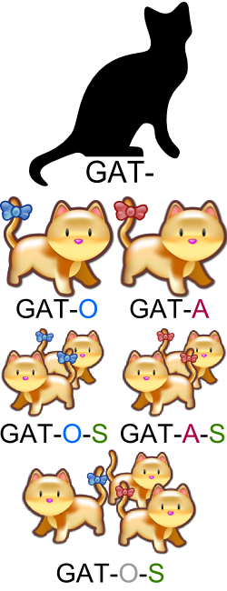 Dibujos de gatos y las varias formas derivadas como "gato", "gata", "gatos" y "gatas".