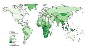 A map of the world with varying shades of green-colored countries showing variable levels of TB incidence around the world, as described in the text.