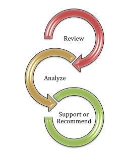 Three interconnecting colored curves: a red arrow labeled Review, leading to a gold arrow labeled Analyze, leading to a green ring labeled Support or Recommend.