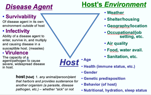 A blue upside-down triangle has a purple heading at the left corner labeled "Disease Agent," the right corner is labeled with a green "Host's Environment," and the bottom angle is labeled with a blue "Host." These topics are described in the text.