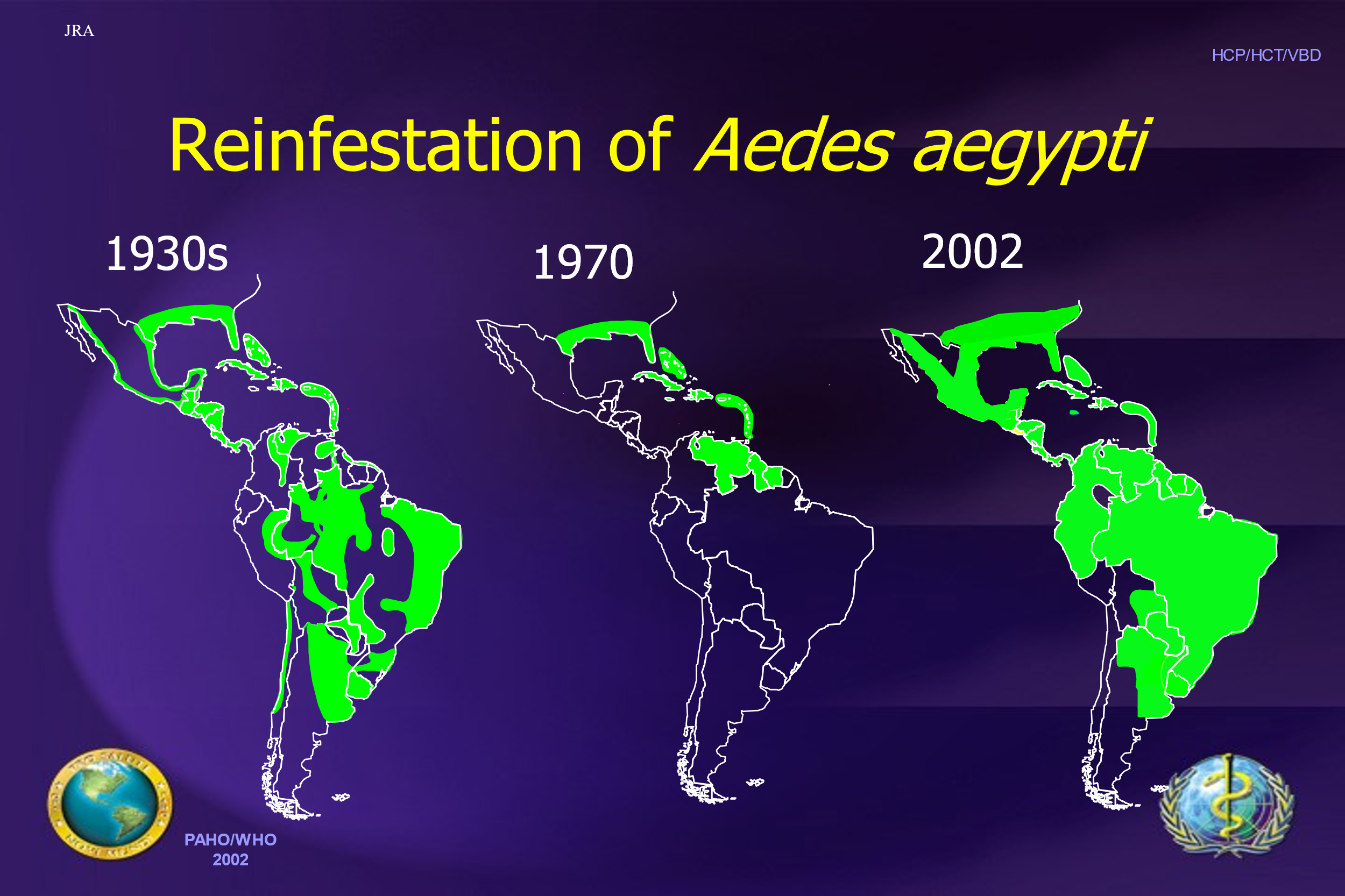 A graphic with a purple background and yellow heading with the text, "Reinfestation of Aedes aegypti." Three maps with green shading are labeled 1930s, 1970 and 2002, with more shading in 2002 than 1930s.