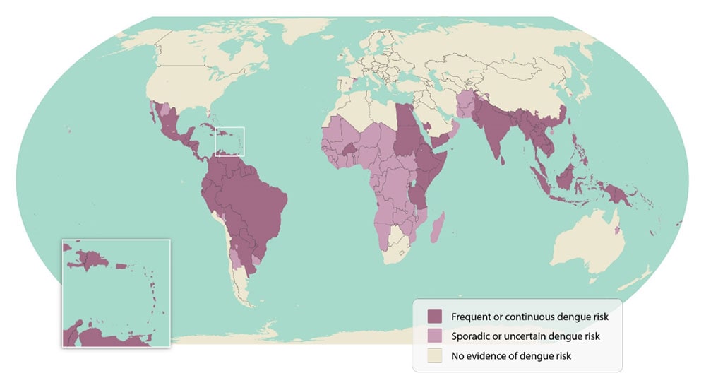 A world map with shades of plum colored countries showing the varying risk of dengue fever. South America shows the greatest risk.