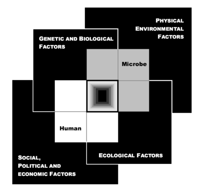 A black, gray and white graphic with four intersecting black squares labeled: "Social Political and Economic Factors," "Genetic and Biological Factors," "Ecological Factors," and "Physical and Environmental Factors." In the center is a white square labeled Human, and a gray square labeled "Microbe" that interacts with the physical and environmental factors. They all intersect in the middle.