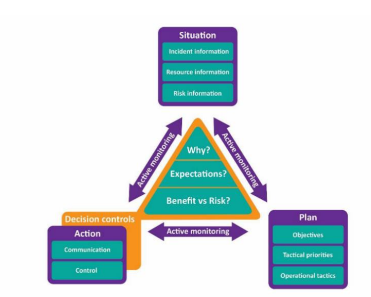 A central green triangle contains the questions Why? Expectations? and Benefit vs. Risk? Three purple arrows surround the triangle with the headings "Active monitoring," in each of them. Each arrow points to three purple and green blocks at the corners of the triangle; the blocks are labeled "Situation," "Plan" and "Decision controls Action."