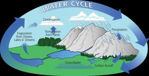This is a diagram of the Water Cycle. Water in the atmosphere falls to the ground in the form of percipitation and becomes surface runoff flowing into oceans, lakes, and streams. Surface water evaporates becoming condensation, and again, falls to the ground as precipitation completing the cycle.