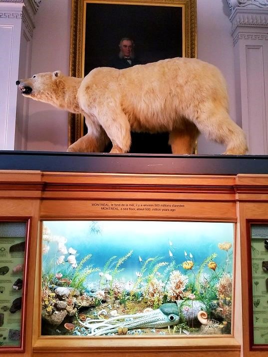 A stuffed polar bear stands astride an aquarium featuring a scene of creatures from 550 million years ago