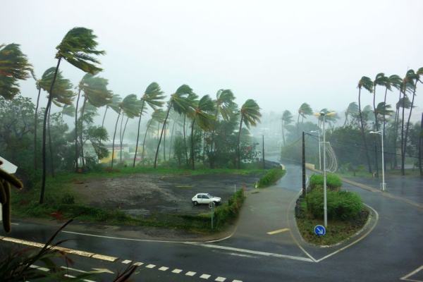 Rain and strong winds blow fiercely at palm trees