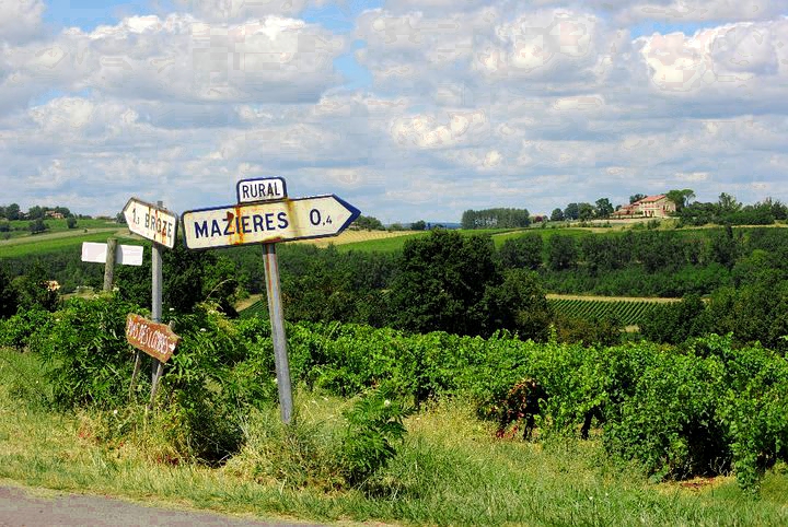 A rusty road sign reads "RURAL--MAZIERES O" in front of a vineyard on a sunny day