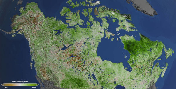 A satellite image of Canada and Alaska showing areas of increase warming especially in arctic areas