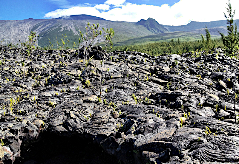 A bed of dried lava in the foreground with a volcano crater in the background