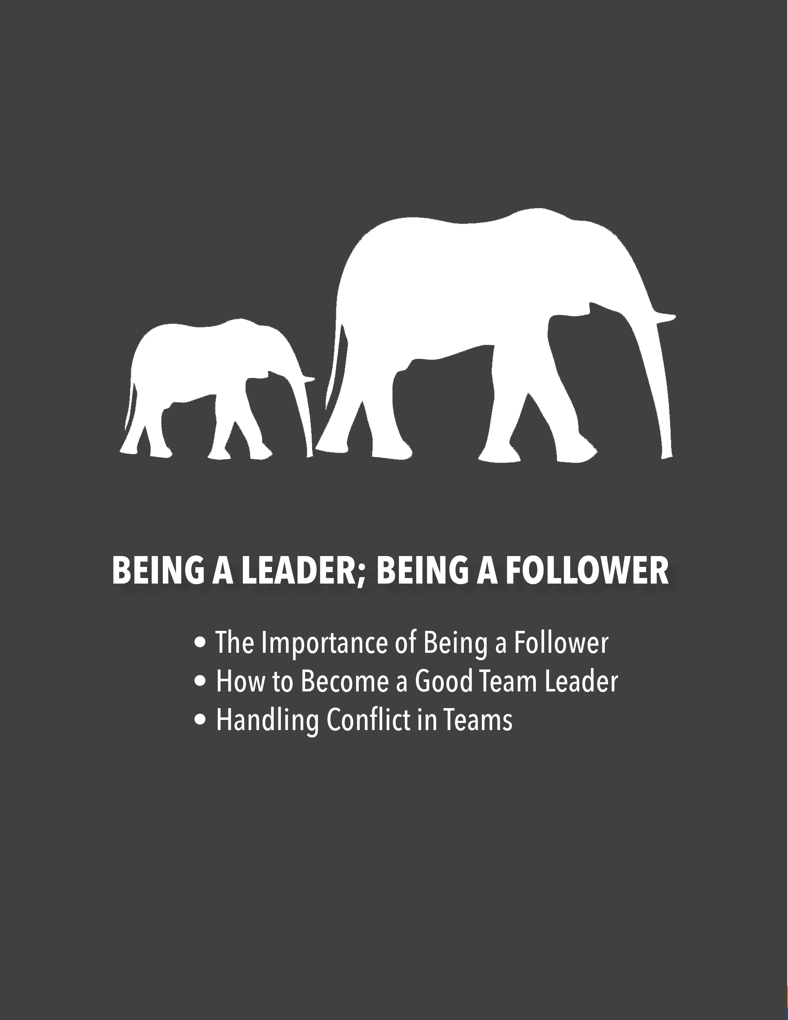 Being A Leader; Being A Follower – Teamwork: An Open Access Practical Guide