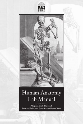 Cover image for Human Anatomy Lab Manual