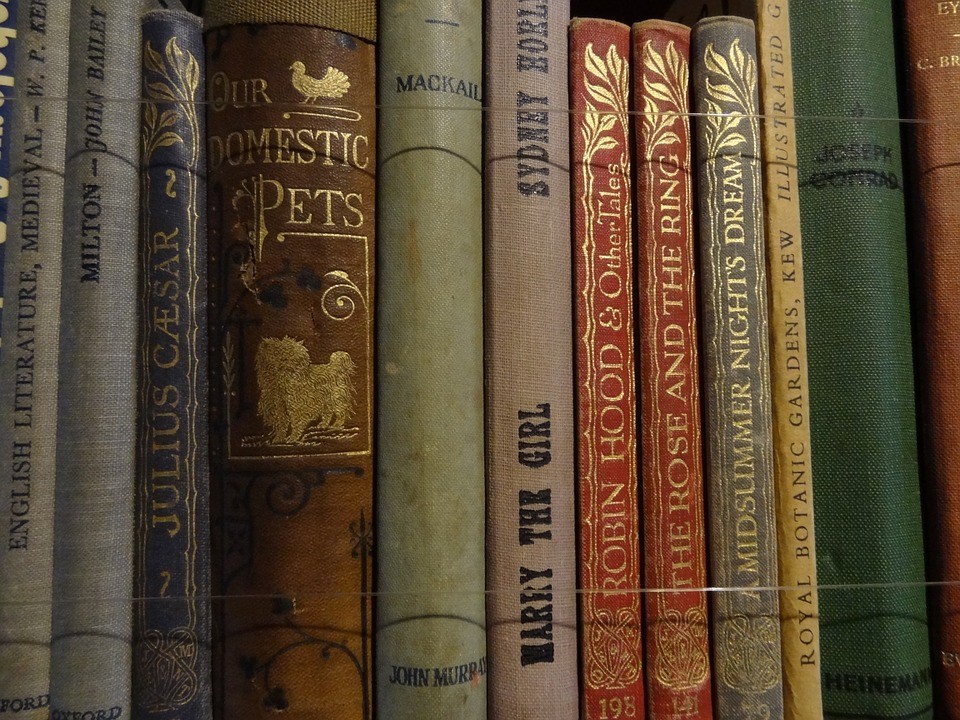 print editions of journals in the economics discipline on a desk stacked on a desk